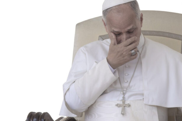 papa a adus un omagiu jurnalistilor ucisi marcand ziua mondiala a libertatii presei 69f75d6fd665a