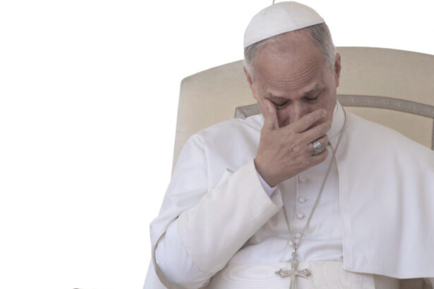 papa leon a sunat la banca sa isi schimbe adresa angajata a crezut ca este o farsa si i a inchis telefonul in nas 69fc727fcab07