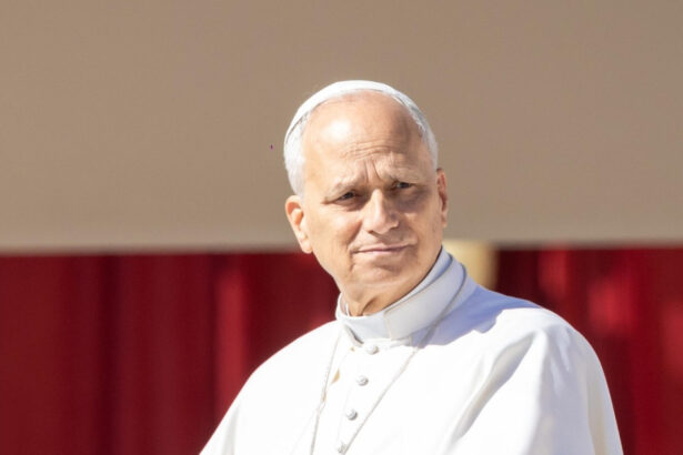 papa leon al xiv lea aproba o comisie la vatican dedicata reglementarii inteligentei artificiale 6a0896646116e