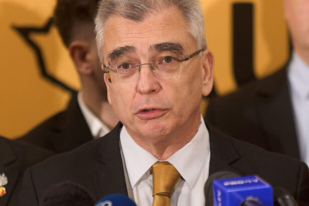 petrisor peiu nu vad cum s ar face o majoritate conditia ca aur sa sustina un guvern 69fb165ece19f