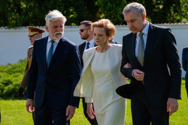 presedintele cehiei a fost primit la palatul elisabeta 6a04548f9135f