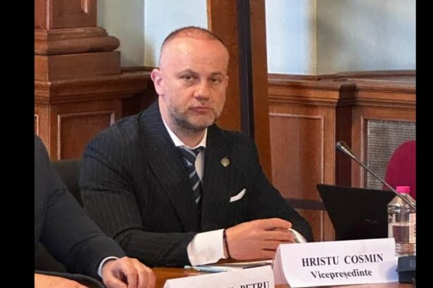 simplificare procedurala pentru suspendarea permisului hristu aur statul trebuie sa reduca birocratia inutila 6a0340ed06581