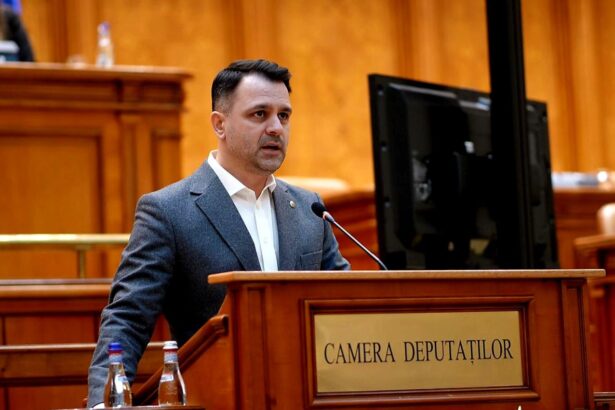 stabilitate si planificare pe termen lung pentru programe comunitare anunta crusoveanu pnl parlamentul a aprobat finantarea multianuala a ong urilor 6a05eacd108cc