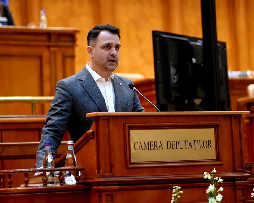 stabilitate si planificare pe termen lung pentru programe comunitare anunta crusoveanu pnl parlamentul a aprobat finantarea multianuala a ong urilor 6a05eacd108cc