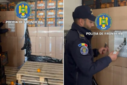 tigari de contrabanda in valoare de 2 milioane de euro ascunse printre lazi cu portocale un roman a fost arestat in giurgiu 69fd99e3cee10