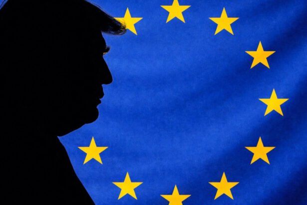 trump ue are termen pana pe 4 iulie pentru a aplica acordul comercial cu sua 69fd0605bc9db