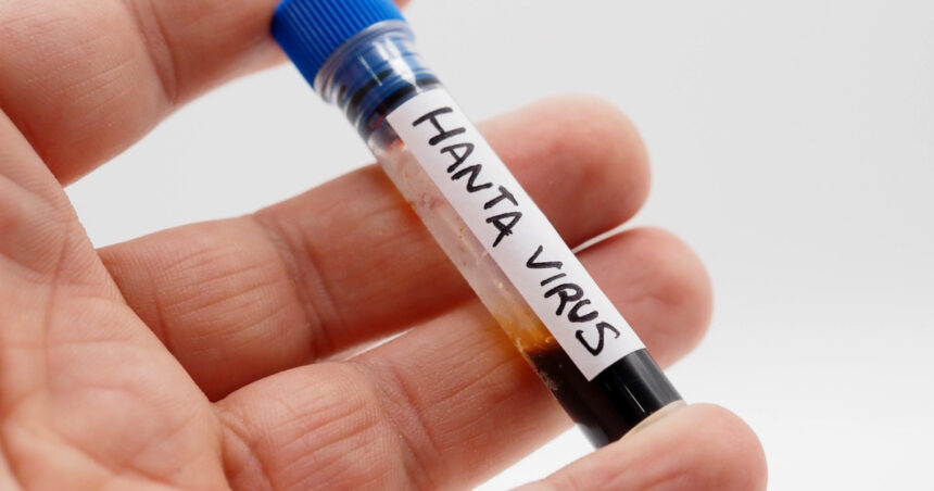 ucraina inregistreaza zeci de cazuri de hantavirus in fiecare an sustine centrul de sanatate publica ucrainean 6a016e63cdd05