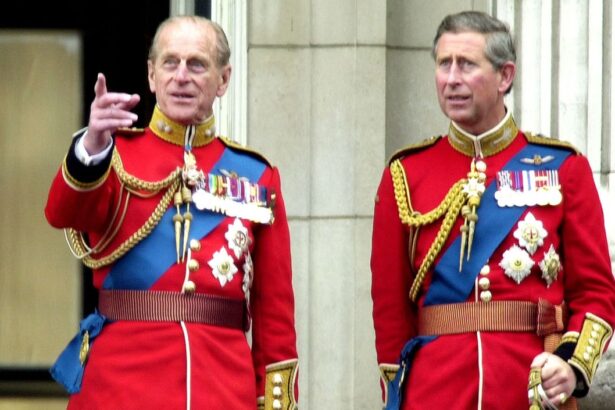 ultima discutie pe care a purtat o regele charles cu printul philip inainte cu doar cateva ore de moartea acestuia 6a071a2819a81
