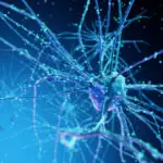 un centru de date va fi alimentat in premiera de neuroni umani crescuti in laborator 69f79d3772f8b