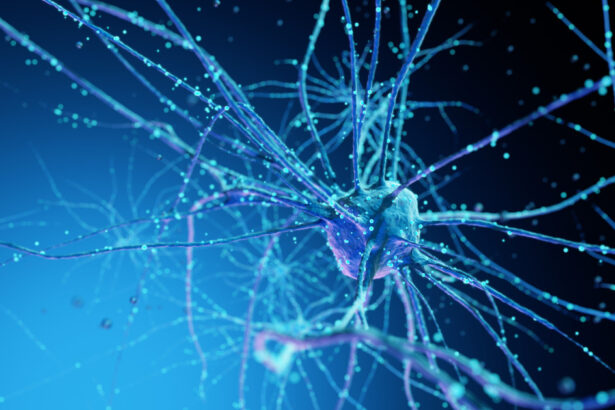 un centru de date va fi alimentat in premiera de neuroni umani crescuti in laborator 69f79d3772f8b