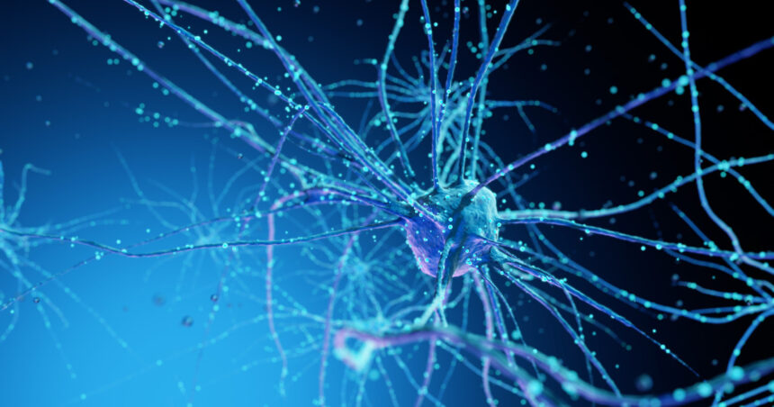 un centru de date va fi alimentat in premiera de neuroni umani crescuti in laborator 69f79d3772f8b