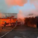 un incendiu violent a cuprins doua adaposturi de animale intr o localitate din suceava 69fcff5a7962c