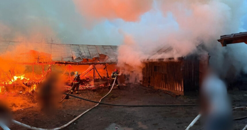 un incendiu violent a cuprins doua adaposturi de animale intr o localitate din suceava 69fcff5a7962c