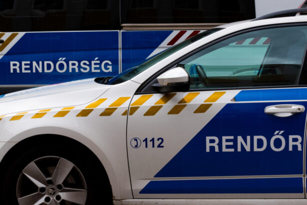 un roman si a rapit fosta iubita de pe o autostrada din austria cei doi au fost gasiti de autoritatile din ungaria 69f65609776a8