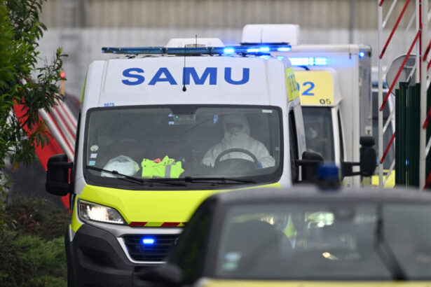 unul dintre francezii evacuati de pe nava cu hantavirus a prezentat simptome autoritatile au impus izolarea stricta 6a00efd37b771