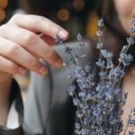 video afaceri profitabile cu miros si aroma de lavanda cum a reusit planta decorativa sa devina astazi ingredient in prajituri si cosmetice 6a00128b25e2c