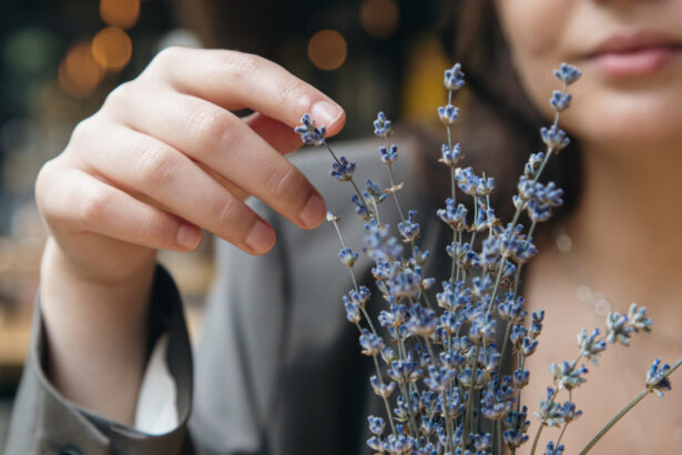 video afaceri profitabile cu miros si aroma de lavanda cum a reusit planta decorativa sa devina astazi ingredient in prajituri si cosmetice 6a00128b25e2c