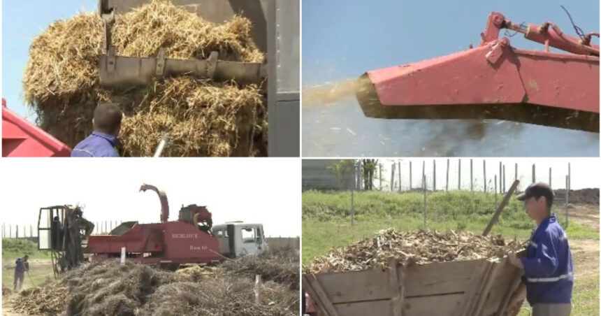 video comuna care transforma resturile vegetale din gospodarii in ingrasamant natural localnicii fac rand la utilajul cumparat de primarie 69f97b09bd19e