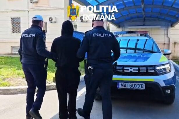 video cruzime fara margini tanar legat de gat si pus sa traga o caruta cum s a petrecut totul si cine sunt agresorii 69fafe5e4efca