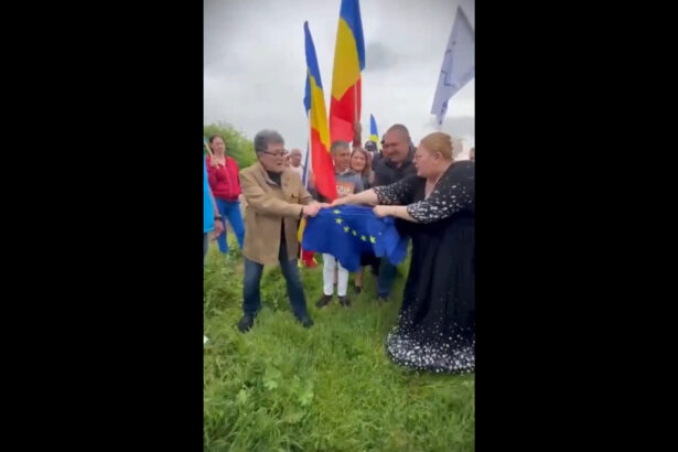 video diana sosoaca a sfasiat drapelul ue de ziua europei in aceeasi zi a fost a fost la ambasada rusiei 6a0035b258593