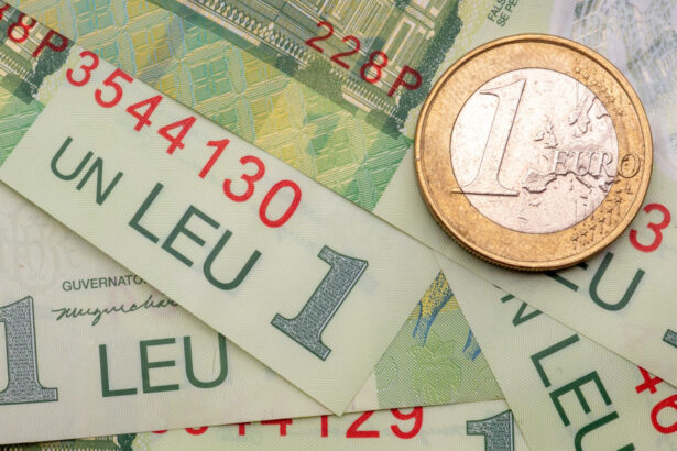 video euro a atins un nou maxim istoric profesorul cristian paun avertizeaza ca economia romaniei este praf leul o ia razna 69fb2da8f0bdc