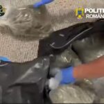 video flagrant pe a2 11 kg de canabis urmau sa ajunga pe litoral 69f4e2e274a3e