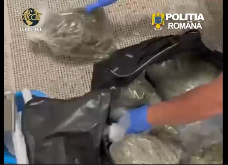 video flagrant pe a2 11 kg de canabis urmau sa ajunga pe litoral 69f4e2e274a3e