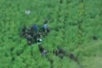video imagini cu momentul capturarii suspectului in crima din bihor barbatul era ascuns intr un lan de rapita 69fe50de19bb2