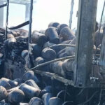 video imagini cu un tir incarcat cu butelii goale care a luat foc pe dn6 incendiul a fost lichidat 69f780f3e9edc