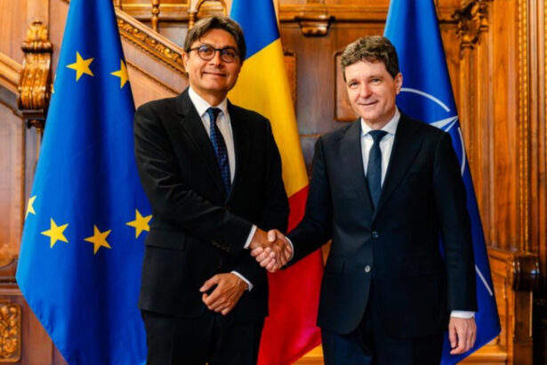 video nicusor dan s a intalnit cu presedintele cedo romania isi reafirma angajamentele privind drepturile fundamentale 6a04319d35de9