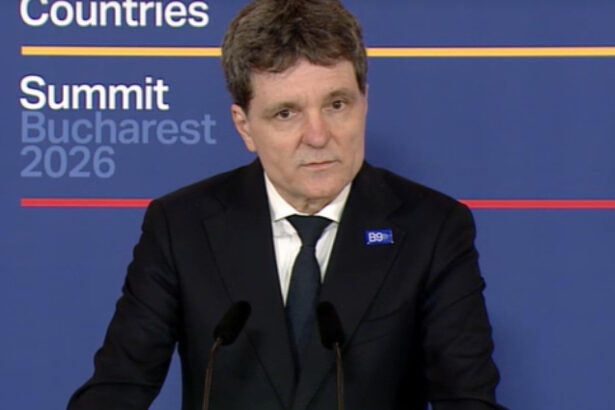 video nicusor dan statele din formatul b9 statele din zona nordica au preocupari comune si au o amenintare comuna rusia 6a04c603e74b6