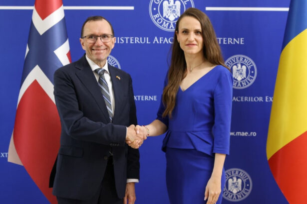 video oana toiu relatiile economice romania norvegia intr un moment bun exporturi de 700 milioane de euro 6a04581021ecb