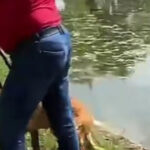 video un barbat e acuzat ca a incercat sa si inece cainele in lacul din parcul tineretului din capitala politia a deschis dosar penal 6a00637932569