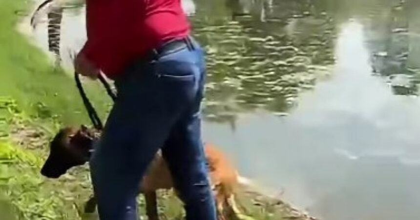 video un barbat e acuzat ca a incercat sa si inece cainele in lacul din parcul tineretului din capitala politia a deschis dosar penal 6a00637932569