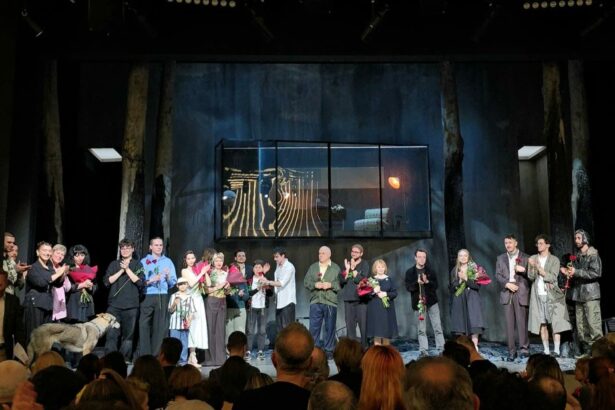 video un spectacol de neratat la teatrul de stat constanta toti fiii mei de arthur miller in regia lui vlad cristache 6a00fe5877974