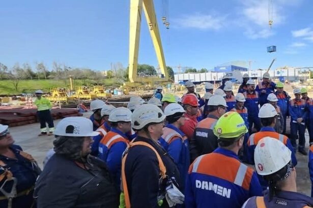 viitorul santierului damen mangalia va fi decis astazi de creditori gigantii rheinmetall si msc sunt in cursa 69fd933fd73af