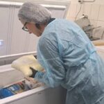 zero cazuri de toxiinfectii alimentare in minivacanta de 1 mai pe litoral 69f8451f80691