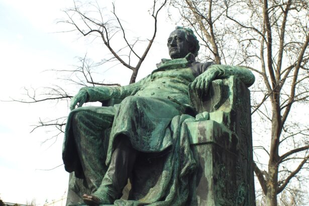 cartea care a provocat panica in europa si a fost acuzata ca impinge tinerii spre sinucidere romanul lui goethe care a socat lumea secolului xviii 6a246dbda276f