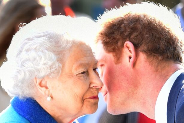 ce a facut printul harry timp de 10 minute in fata reginei elisabeta inainte de nunta cu meghan markle 6a3255789ac22