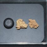 cea mai veche branza descoperita vreodata a fost candva hrana pentru viata de apoi 6a33fc02448c9