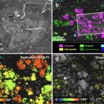 cercetatorii au descoperit ceva nemaivazut pana acum intr un meteorit de pe marte 6a38e6b3d92fb