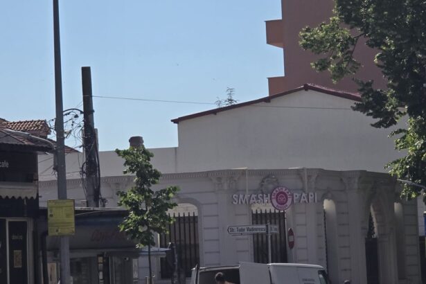 detalii exclusive pov garden prima gradina urbana permanenta din constanta se deschide pe locul restaurantului beirut care a fost mistuit de flacari 6a325d0f41077