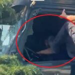 dosarul in care politistii locali care au intervenit la accidentul cu tir ul din tomis nord sunt cercetati pentru purtare abuziva a ajuns la parchet 6a3c5c72b8357