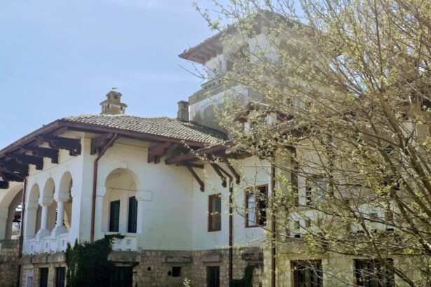 dupa ani de ruina si uitare vila regala a reginei maria primeste sansa renasterii a fost semnat protocolul pentru restaurare 6a3f8c12b618b
