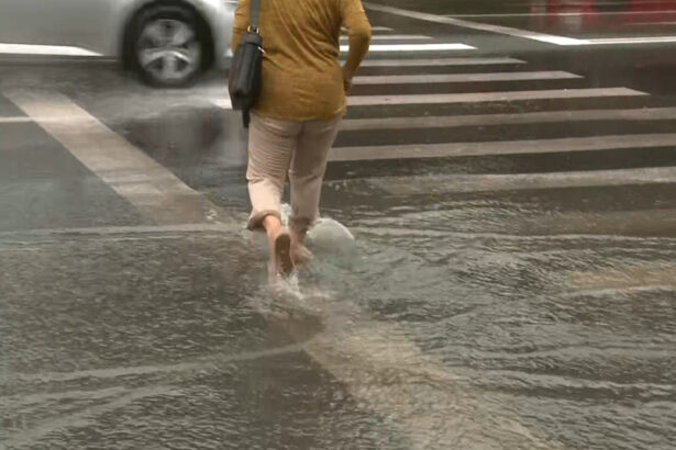 efecte ale vremii nefavorabile in 10 judete si bucuresti zeci de interventii ale pompierilor pentru inundatii si copaci cazuti 6a248502026d4