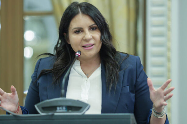 gabriela horga propusa ca vicepresedinte pnl in echipa lui ilie bolojan imi asum acest proiect cu seriozitate si responsabilitate 6a378a50b7127