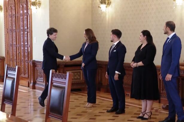 gavrila pot dupa consultarile cu nicusor dan ne disociem complet de comportamentul aur sustinem o formula pro occidentala pro americana unde noi sa fim partea pro romaneasca 6a3aa6c91950e