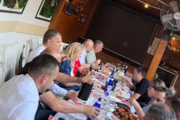 geniul ascuns al pnl si arhitectul tacut al strategiei senatorul cosa a scapat de saracia din constanta si s a facut om mare la bucuresti este paharnicul 6a31967da78dc