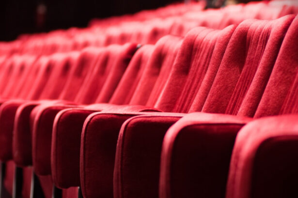 guvernul va imparti 244 de milioane de lei catre teatre opere si filarmonici din tara lista principalilor beneficiari 6a2fa174ce15f