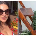imagini cu gradina ioanei ginghina ce legume a plantat vedeta si cine se ocupa de ele sa nu ziceti ca nu fac nimic am zis sa va arat 6a253f1dd789e